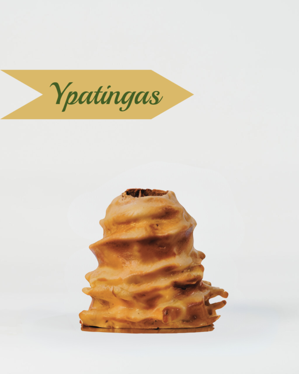 Ypatingas raguolis