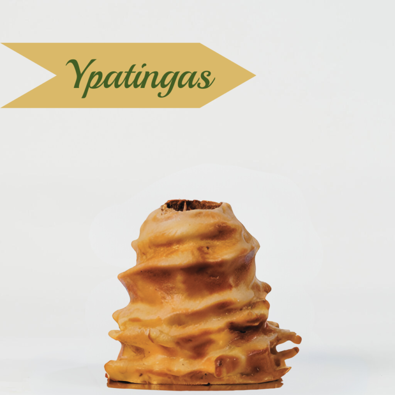 Ypatingas raguolis